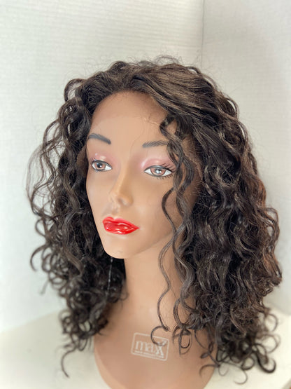Afro Beauty: Designer's Lace Front Wig: Amani
