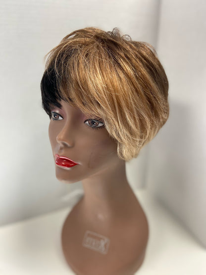 Afro Beauty Wig: Alina